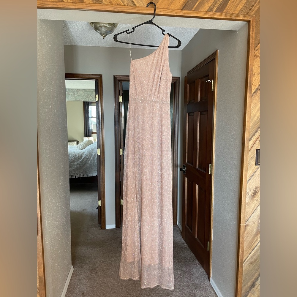 Baltic Born. Size Small. Pink sparkle maxi. Worn once.